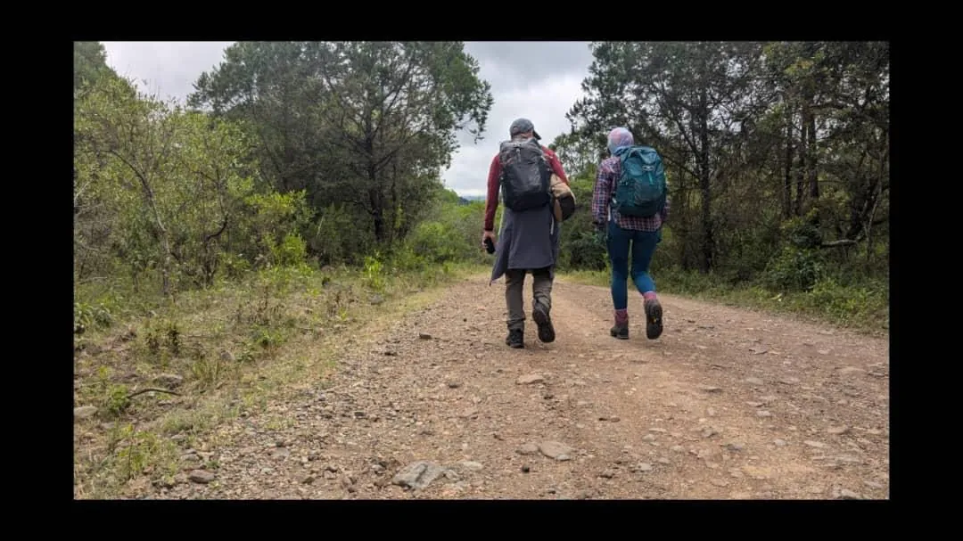 Mount Kilimanjaro trekking landscape